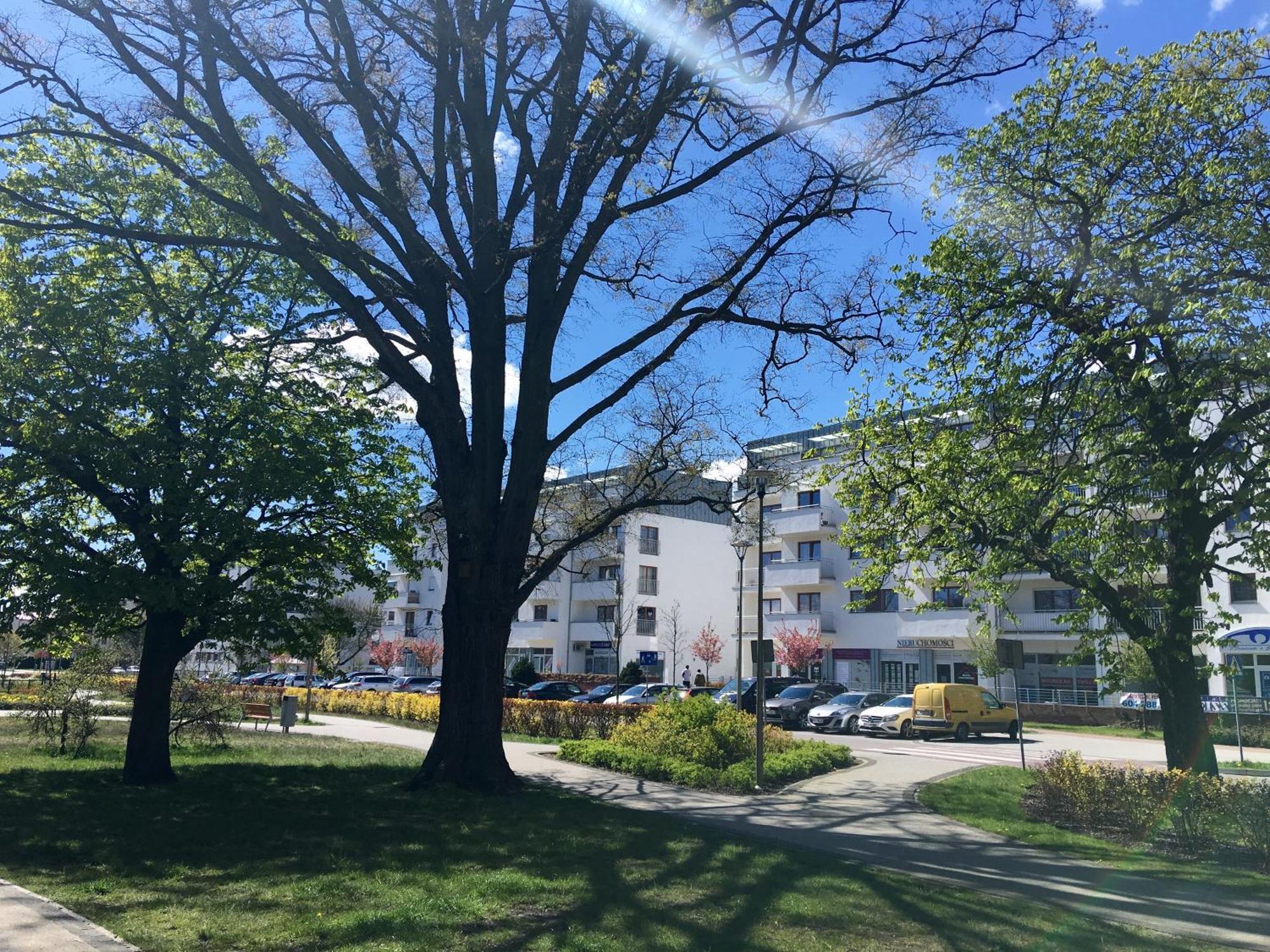 Apartamenty Platan - Visitopl Swinoujscie Kültér fotó